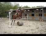 CENTRE EQUESTRE PONEY CLUB LA VARAUDE