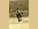 Photo CENTRE EQUESTRE LA CHEVAUCHEE