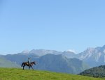 Photo CHEVAUCHEE PYRENEENNE LES CHEVAUXDU BENOU