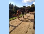 ESPACE EQUESTRE DU BEC HELLOUIN