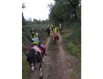 ECURIE PONEY CLUB DU GRAND BOIS