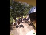 ECURIE PONEY CLUB DU GRAND BOIS