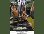 GUARANA