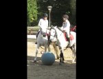 Photo PONEY CLUB DE VELIZY