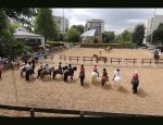 Photo PONEY CLUB DE VELIZY