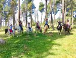 Photo CENTRE EQUESTRE DE FONT ROMEU