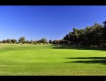 GOLF GREEN 66 - GOLF DE MONTESCOT