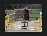 Photo PONEY-CLUB DE SAINTE COLOMBE