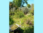 Photo STE D'HORTICULTURE ET D'ARBORICULTURE DES BOUC