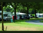 Photo CAMPING DE LA FORET