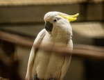 Photo EXOTICAMIS
