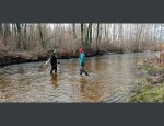Photo FEDERATION DE LA LOIRE POUR LA PECHE ET LA PROTECTION DU MILIEU AQUATIQUE