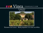 Photo VINEA TRANSACTION