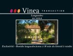 Photo VINEA TRANSACTION