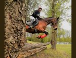 Photo FERME EQUESTRE DU GRAY