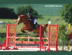 Photo FERME EQUESTRE DU GRAY