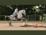 Photo CENTRE EQUESTRE EQUI-FEEL