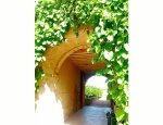 Photo C.A.S.T.E.L. CHATEAU DE LANTILLY