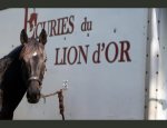 LES ECURIES DU LION D'OR