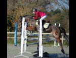 Photo CENTRE EQUESTRE ECURIES DE MARLAU
