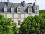 Photo CHATEAU DE NITRAY