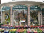 Photo LA RONDE DES FLEURS