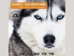 HUSKY ADVENTURE