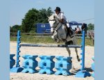 BESSY EQUITATION