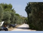 CAMPING LES OLIVIERS