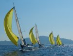 Photo YELLOW IMPACT SAILING