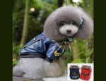 Photo ANIMALERIE ACCESSOIRES CHIENS EN LIGNE