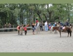 ASSOC DE LOISIRS EQUESTRES LA CARRIOLE