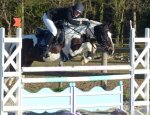 Photo CENTRE EQUESTRE LE CHEVAL VERT