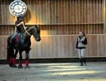 Photo DOMAINE D'ART EQUESTRE