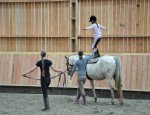 DOMAINE D'ART EQUESTRE