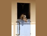 Photo CENTRE EQUESTRE DE VILLEMADE