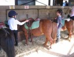 Photo CENTRE EQUESTRE DE VIENNE LE COUZON