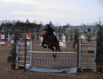 Photo CENTRE EQUESTRE 3 RIVIERES EQUITATION