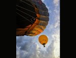 Photo MONTGOLFIERES D'ANJOU