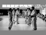 JUDO CLUB D'ALBRET