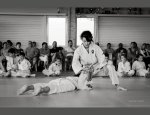 JUDO CLUB D'ALBRET
