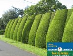 Photo LEC'HVIEN JARDINS SERVICES