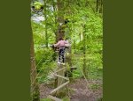 Photo PARCOURS AVENTURE®