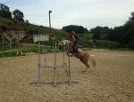 Photo CENTRE EQUESTRE LA RIVIERE