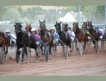 Photo HIPPODROME DE SAINT MALO