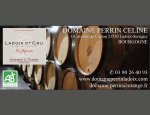 DOMAINE PERRIN CÉLINE
