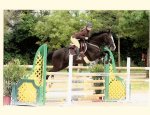 PONEY CLUB DES GALOPINS
