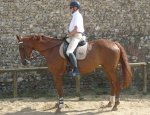 Photo LA HOUSSINE ET ASSOCIATION CHEVAL VIE