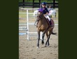 Photo CENTRE EQUESTRE SLAS JUMPING
