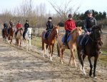 Photo CENTRE EQUESTRE SLAS JUMPING